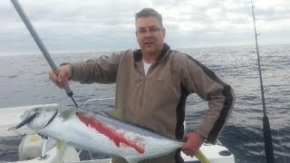 February 2014 Cape Jervis Yellowtail Kingfish and Bluefin [upl. by Ark911]