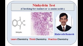 Ninhydrin Test [upl. by Haziza343]