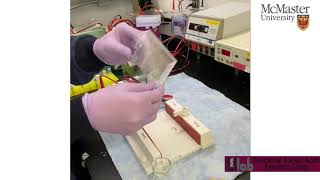 How to make an agarose gel for electrophoresis [upl. by Marvin256]