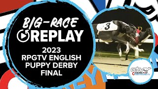 2023 RPGTV English Puppy Derby  King Memphis  Greyhound Replays  2023 Big Finals [upl. by Efthim]