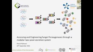 Pascal Püllmann – Accessing and Engineering fungal Peroxygenases through a modular twoyeast system [upl. by Nyliret]