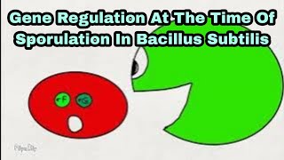 Gene Regulation At The Time Of Sporulation In Bacillus subtilis [upl. by Eirak]