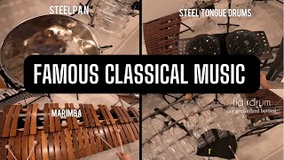 Famous Classical Music on A Lot of Different Instruments [upl. by Ahsitnauq836]