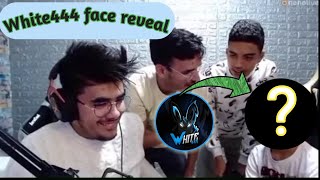 Syblus meet White444 for First time White444 face reveal [upl. by Gnuj]