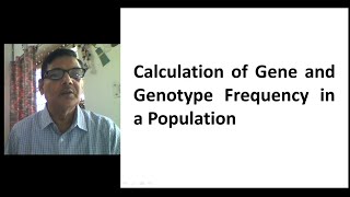 Calculation of Gene and Genotype Frequency in a Population [upl. by Manuela]