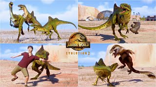 Concavenator Pack Chasing Hunting Social and all other epic animations in Cretaceous Predator Pack [upl. by Gargan716]