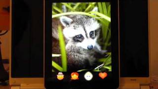 ZOOLA  iPhoneiPad application [upl. by Htevi593]