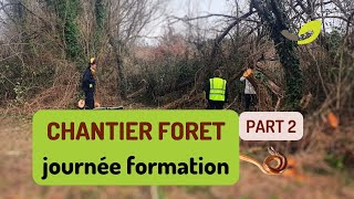 CHANTIER FORET  Partie 2 🌱🪱🌳15 FEV 2024 [upl. by Boswell]