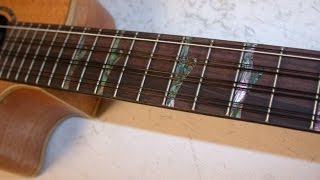 Luna High Tide Tenor 8 String Ukulele Review By Scott Grove [upl. by Jopa225]