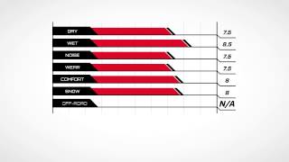 Ecsta — PA31 Part 3  Kumho Tire USA [upl. by Seftton489]