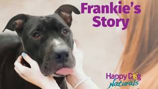 Mite Avenge® Mange Treatment – Frankies Story [upl. by Ynatterb]