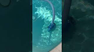 Pool cleaner submerged into water [upl. by Quiteria]