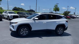 2024 Hyundai TucsonHybrid Bessemer Northport Hoover Tuscaloosa Birmingham AL 11333H [upl. by Ive]