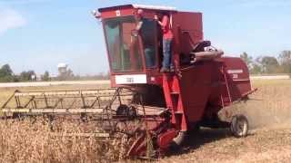 IH 303 Fall soybean harvest 2013 [upl. by Amitarp181]