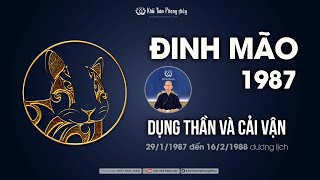 Đinh mão 1987  Dụng thần cải vận đinh mão 1987 mệnh gì  Tuổi đinh mão 1987 [upl. by Siocnarf]