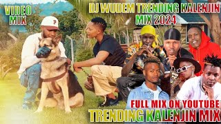 TRENDING KALENJIN MIX 2024 DJWUDEM FAITH THERUI WEDDING SAMKISTAR SWEETSTAR BRILLIAN SMARTLADY KILEL [upl. by Tai]