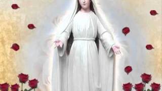 I am Mary Mediatrix of All Grace [upl. by Aihseuqram]