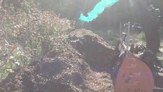 snowblower blowing woodchips into blueberry patch [upl. by Eimam292]