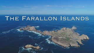 The Farallon Islands  Californias Galapagos aka The Devils Teeth  Drone Footage [upl. by Ynaittirb]