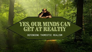 Yes Our Minds Can Get at Reality Defending Thomistic Realism Patron Request [upl. by Stannfield]