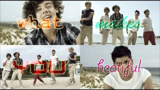 What Makes You Beautiful  One Direction Acapella [upl. by Ponzo]