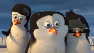 DreamWorks Madagascar en Español Latino  Eso es asqueroso  Clip de Los Pingüinos de Madagascar [upl. by Quenna345]