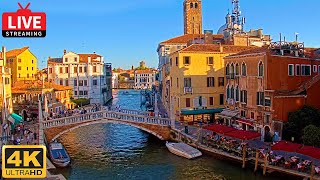 🔴 4K Live Cam of Ponte delle Guglie Venice  View from Hotel Leone Venezia  Live stream ライブカメラ [upl. by Fidelis]