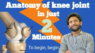 Anatomy of knee  Knee joint anatomy [upl. by Rapsac]