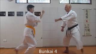 Naihanchi Shodan Bunkai no Kata Escuela Miyazato  Dojo Bariloche [upl. by Arrik]