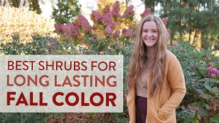 Best Shrubs for Long Lasting Fall Color [upl. by Hound651]