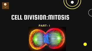 AMITOSIS CELL DIVISION [upl. by Photima]