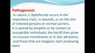 microbiology \ bacteriology \ lecture 2 [upl. by Anead]