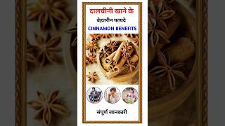 Dalchini khane Ke Fayde  दालचीनी खाने के फायदें  Health Benefits of dalchini [upl. by Gosser416]