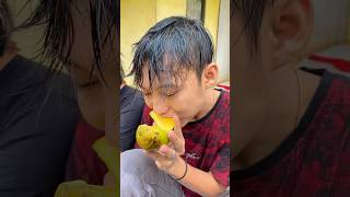 begini cara agar buah mangga cepat matang diy kreatif viral art craft [upl. by Ahsotal323]