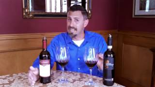 Understanding Montepulciano Wines Italy  Know Wine In No Time [upl. by Hulen247]