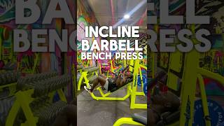 Incline Barbell Bench Press [upl. by Nylsej]