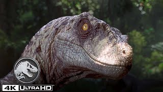 As Melhores Cenas de Velociraptor em 4K HDR  Jurassic World [upl. by Plate677]