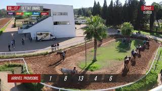 Live Hippodrome « SETTAT »  Courses du « 03112024 » [upl. by Beatriz455]