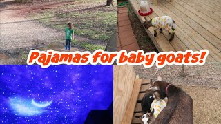 Pajamas for baby goats [upl. by Jez866]