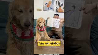 🐕Tobo बना चोकीदार  mini wood toy  woodworking art skills  hand crafts shorts pets [upl. by Honoria770]