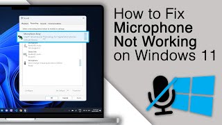 Fix Microphone Not Working on Windows 11 2024 [upl. by Aisad]