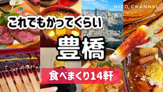 【豊橋】グルメ！元地元民がオススメする14軒食べ歩きガイド☺️ローカル飯、老舗、B級、ランチ、居酒屋🏮 [upl. by Nylac]