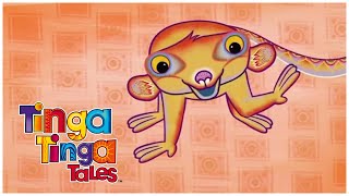 Meerkat amp Friends  Tinga Tinga Tales  Compilation  Cartoons for Kids [upl. by Orpha]