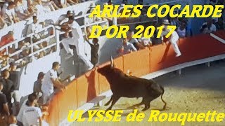 ARLESTaureau ULYSSECocarde dor 2017Course camarguaise03072017manade Rouquette [upl. by Yauqram]