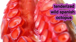 How to tenderize amp serve a wild Spanish Octopus [upl. by Ahsennod]