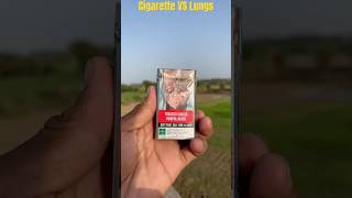 Cigarette vs lungs Experiment shorts facts ytshorts cigarette [upl. by Ytissahc]