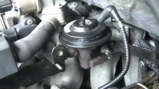 P0401 2002 F150 EGR System Overview and Troubleshooting Guide [upl. by Adelric911]