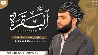 سورة البقرة كاملة للقارئ بيشةوا قادر الكردى Sourate Al Baqara  Peshawa Qadr Al Kurdi [upl. by Delmar101]