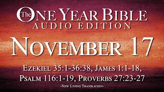 November 17  One Year Bible Audio Edition [upl. by Ahgem]