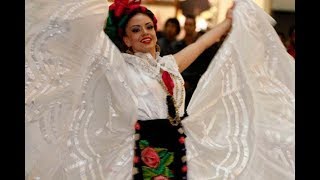 El tilingo lingo con pasos básicos Baile folcklorico del estado de Veracruz México [upl. by Merline]